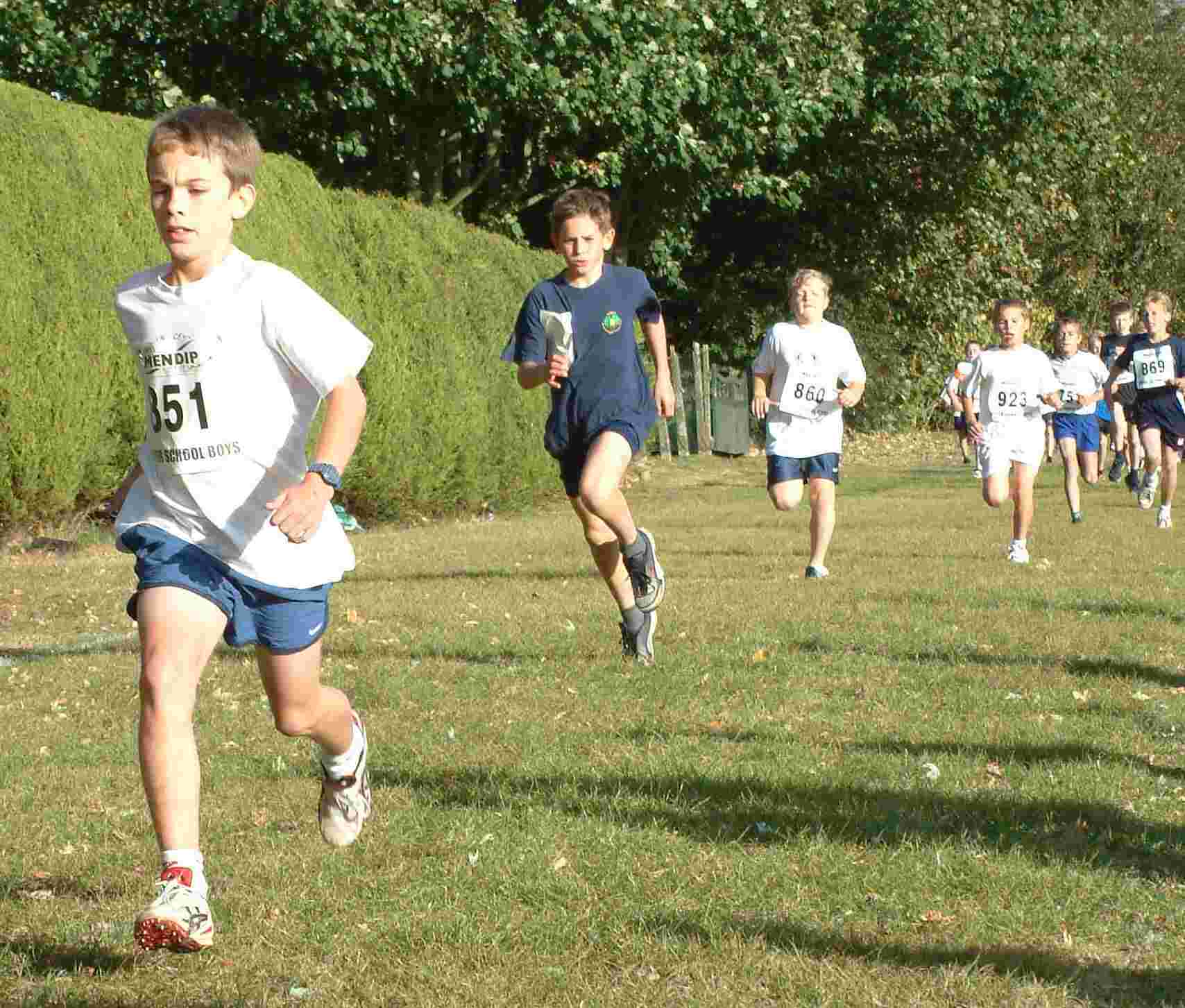 {short description of image}